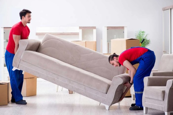 Furniture mover company