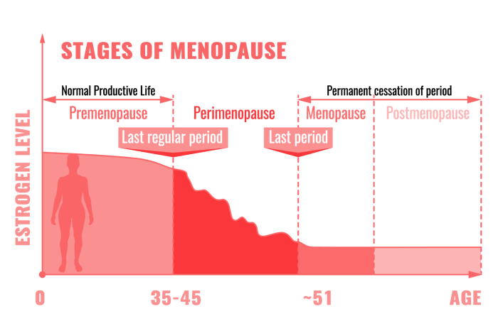 Hormones for menopause