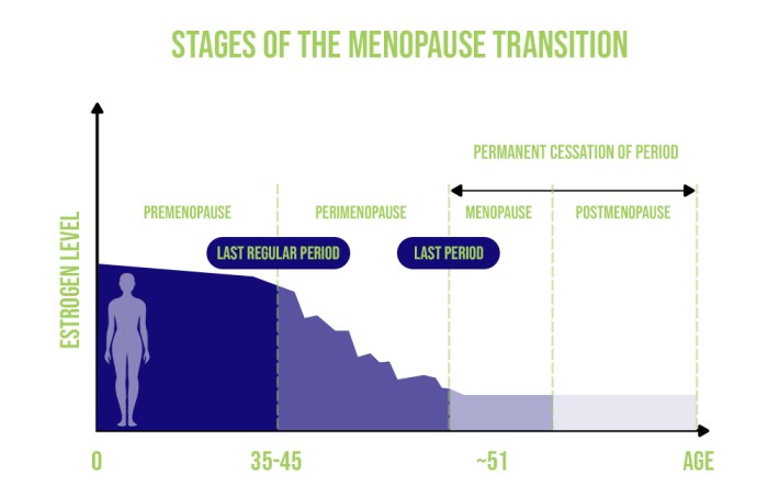 Hormones for menopause